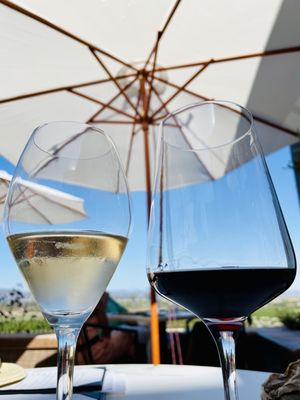 Gloria Ferrer Wines by null
