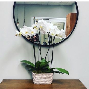 Cadie King Salon Studio - The Studio - Hair Salons Near Me - Cedar Park, Texas