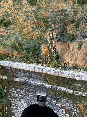 Jackson Street Roundhouse