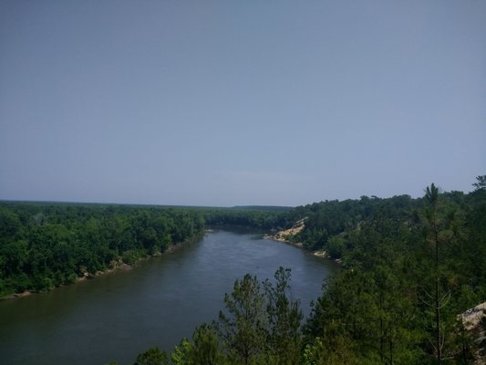The Nature Conservancy Apalachicola Bluffs and Ravines Preserve (Garden of Eden trail) by null