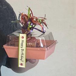 Flower Time - Cupcake that I was able to order with flowers