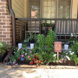 Canoyer Garden Center - Plants from Canoyer's!