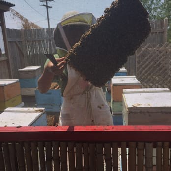 Big Island Bees - Great informational tour - Honey Near Me - Captain Cook, Hawaii Big Island Bees - Great informational tour - Honey Near Me - Captain Cook, Hawaii