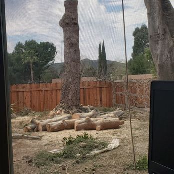 Master Tree Services - Halfway through the day - Tree Services Near Me Master Tree Services - Halfway through the day - Tree Services Near Me