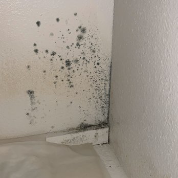 Cornerstone Construction - Moisture behind the wall. Mold is present. - General Contractors Near Me - Fairfield, California