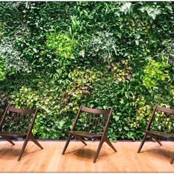 Cityscapes - Living Walls