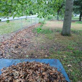 Sasquatch Property Maintenance - Tree Services Near Me - Knox, Indiana