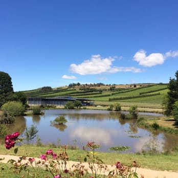 Josef Chromy Wines - The vineyard - Wineries Near Me - Relbia, TAS