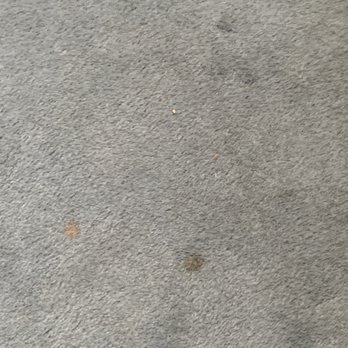 Roger Smith Hotel - Carpet stains room 1404 - Hotels Near Me - New York, New York Roger Smith Hotel - Carpet stains room 1404 - Hotels Near Me - New York, New York