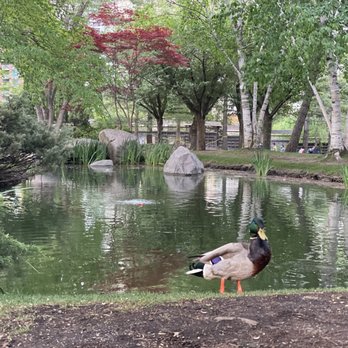 Kariya Park - Parks Near Me - Mississauga, Ontario Kariya Park - Parks Near Me - Mississauga, Ontario