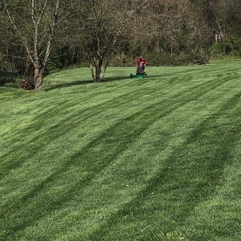 Cobra Lawn Care - Look at those lines - Lawn Services Near Me - Hamilton, New Jersey Cobra Lawn Care - Look at those lines - Lawn Services Near Me - Hamilton, New Jersey