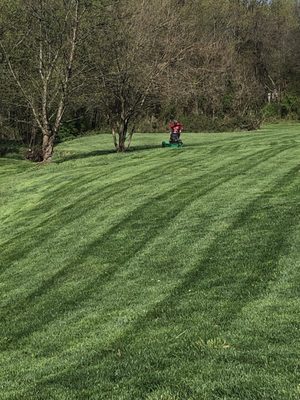 Your local lawn professionals - Here at Cobra Lawn Care we will regularly maintain your lawn to ensure that it is looking great! Give us a call to come take care of your grass today! Your local lawn professionals - Here at Cobra Lawn Care we will regularly maintain your lawn to ensure that it is looking great! Give us a call to come take care of your grass today!