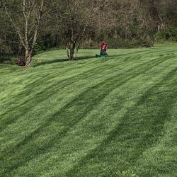 Cobra Lawn Care - Look at those lines