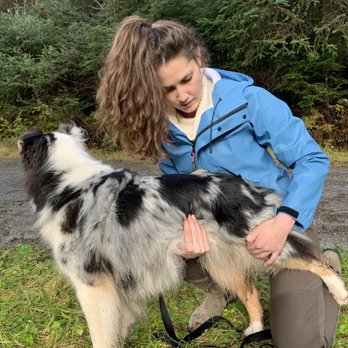 Cloudberry Lane Animal Chiropractic - Holistic Animal Care Near Me - West Linn, Oregon Cloudberry Lane Animal Chiropractic - Holistic Animal Care Near Me - West Linn, Oregon
