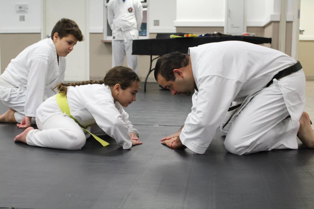 Miami Karate School Warriors Logo