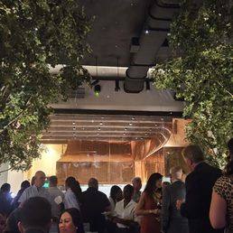 TIMBR - Updated April 2025 - 86 Photos & 45 Reviews - 15 W Las Olas