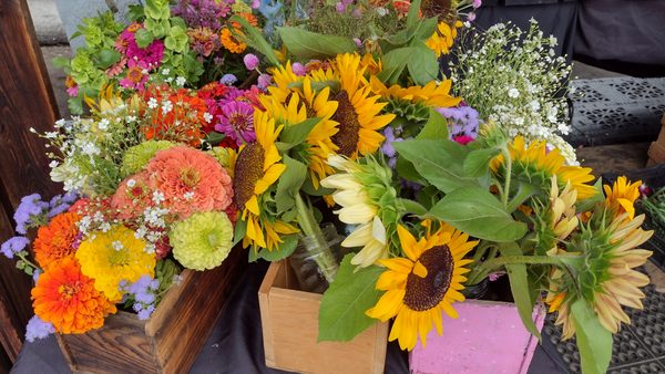 U City Farmers Market by null
