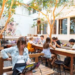 Wombat's - Common Area