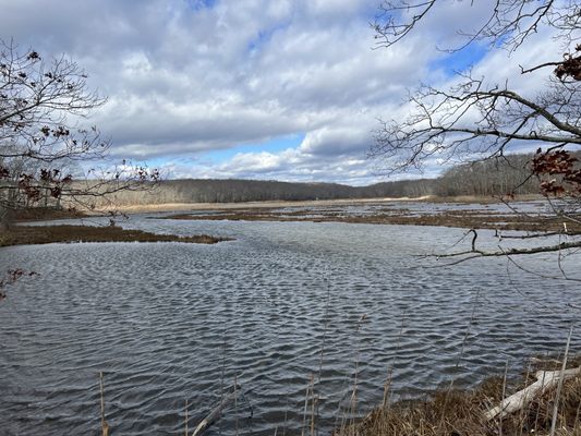 Rocky Neck State Park by null