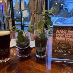 Redwood Curtain Brewing - 1/2/26 FYI. Closest to a red.