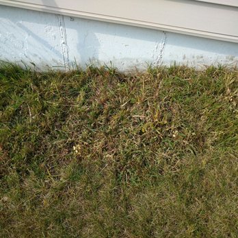 NJE Tree Service & Landscaping - Landscaping Near Me