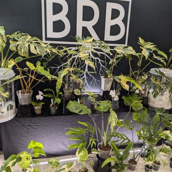 PlantCon - Nurseries & Gardening Near Me - Houston, Texas