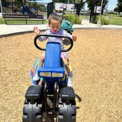Daisy playing on the playground