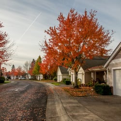 Touchmark at Fairway Village