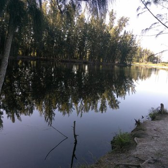 Wolf Lake Park - Lake area - Parks Near Me - Davie, Florida Wolf Lake Park - Lake area - Parks Near Me - Davie, Florida
