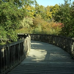 Volkspark Hasenheide