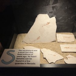 Churchill County Museum