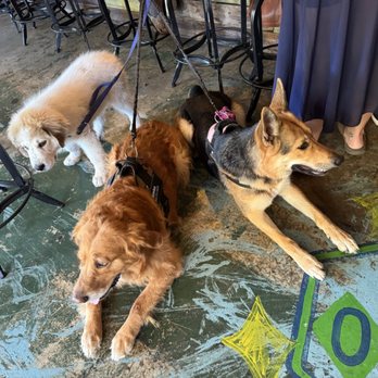 La Playa Park - Dog friendly - Food Trucks Near Me - Brunswick, Georgia La Playa Park - Dog friendly - Food Trucks Near Me - Brunswick, Georgia