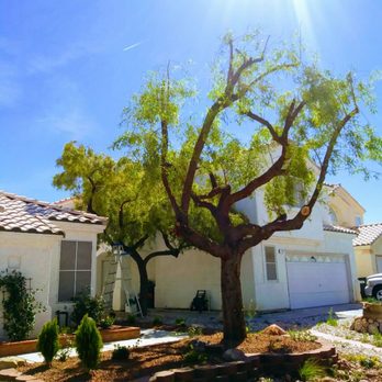 Aron's Tree Service - Tree Services Near Me Aron's Tree Service - Tree Services Near Me