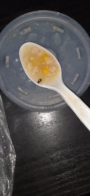 Kow Loon Chinese Restaurant by null