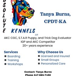 Absolute Kennels