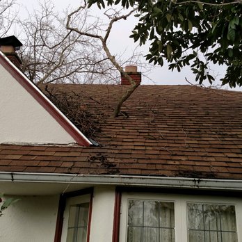 Capital Tree Service - Before - Tree Services Near Me - Lincoln, California Capital Tree Service - Before - Tree Services Near Me - Lincoln, California