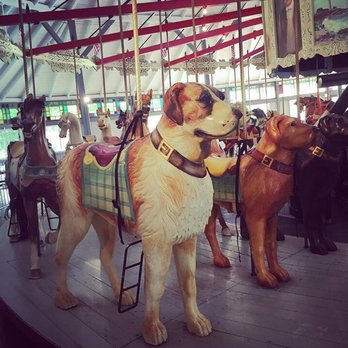 Crescent Park Looff Carousel - Jessie the Saint Bernard! - Carousels Near Me - Riverside, Rhode Island