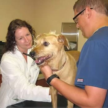 Westgate Pet Clinic - Dr. Donald examining a furry friend - Veterinarians Near Me - Minneapolis, Minnesota Westgate Pet Clinic - Dr. Donald examining a furry friend - Veterinarians Near Me - Minneapolis, Minnesota