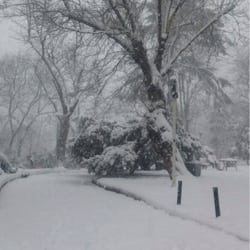 Şairler Parkı