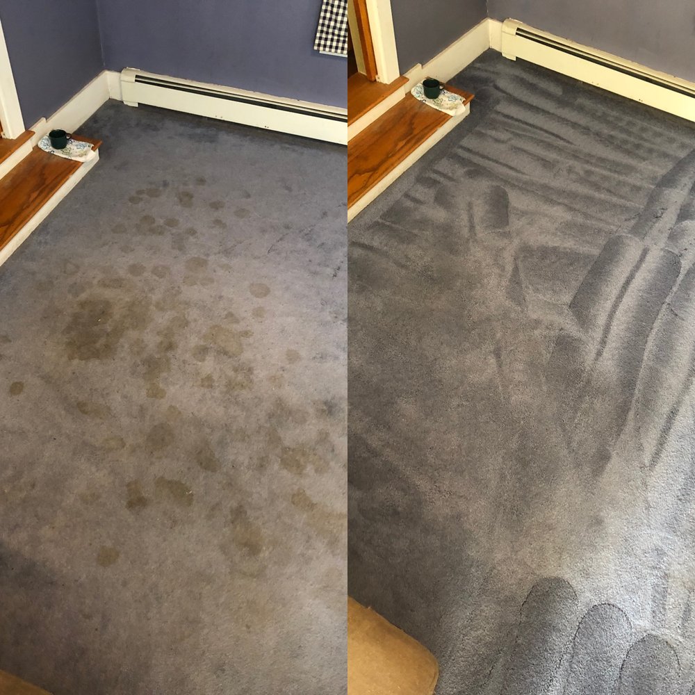 DAMAGE CONTROL Updated September 2024 13 Photos North Attleboro