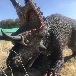 Prehistoric Park