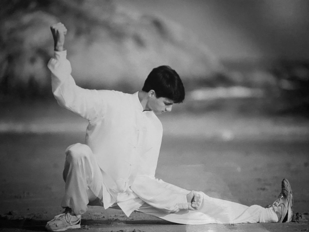 Palisades Kung Fu & Tai Chi Logo