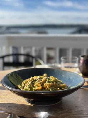 Oystercatcher by null