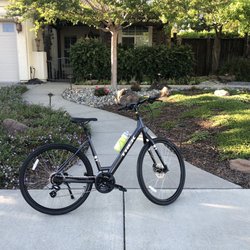 Ray's Cycle - New baby