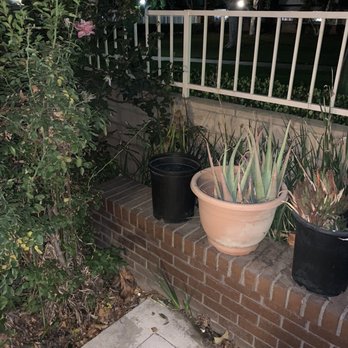 Juan Landscaping - Landscaping Near Me