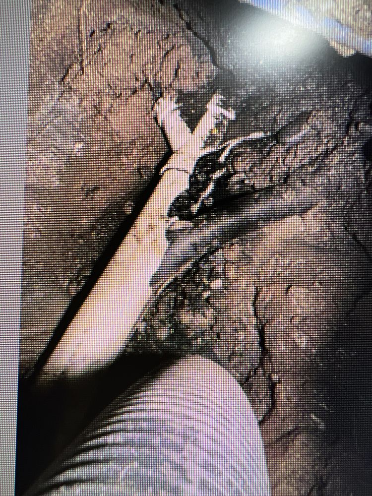 Slide of Elite Rooter
