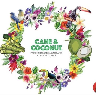 Cane & Coconut by null