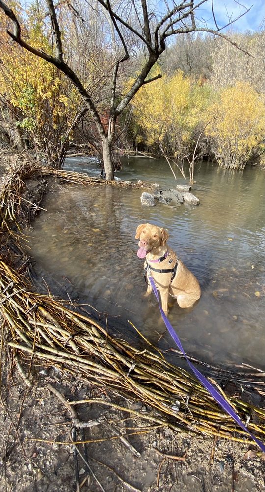 TANNER PARK 49 Photos & 50 Reviews 2760 S 2700th E, Salt Lake City