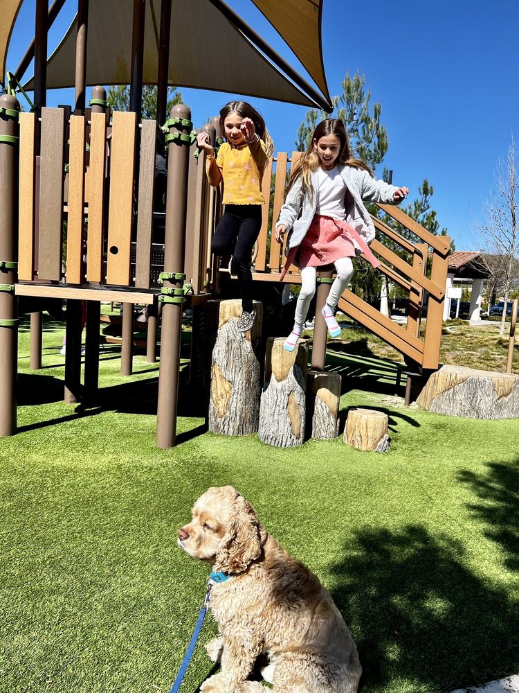 PORTOLA SPRINGS COMMUNITY PARK Updated August 2024 15 Photos & 13 Reviews 900 Tomato