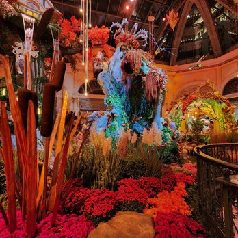 Bellagio - Botanical Garden - Hotels Near Me - Las Vegas, Nevada Bellagio - Botanical Garden - Hotels Near Me - Las Vegas, Nevada